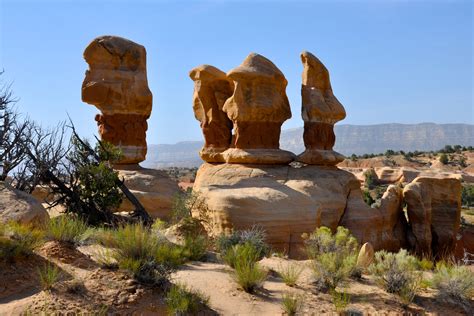 Discover the Beauty of Escalante Petrified Forest State Park