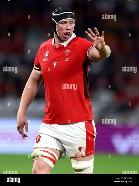 Adam beard wales 2023 world hi-res stock photography and images - Alamy