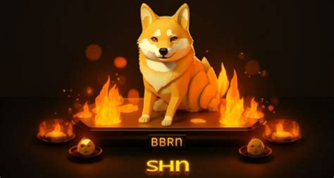 SHIB Burn: What Is It And How Is It Done? | Cryptocoin Stock Exchange