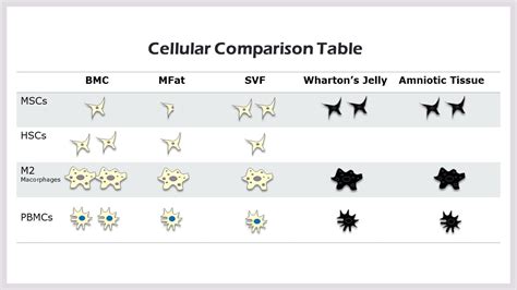 What's the Difference Between All of the Types of Stem Cell Therapy? - Regenexx