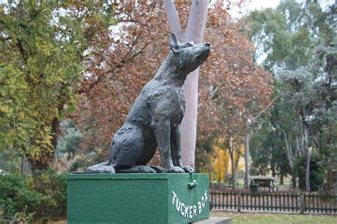 One Hungry Hen: Dog on the Tuckerbox and Bullocky Bills, Gundagai, NSW