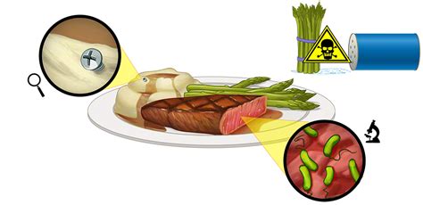 biological hazards in food examples - Serena Winfield