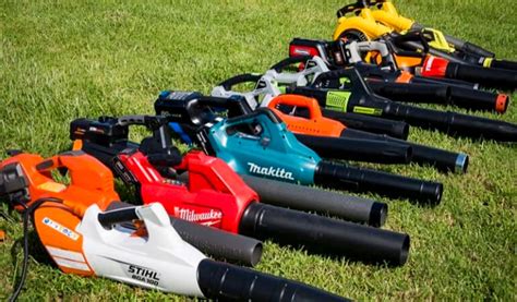 Top 5 Best Cordless Leaf Blower in 2021 - Reviews & Buying Guide