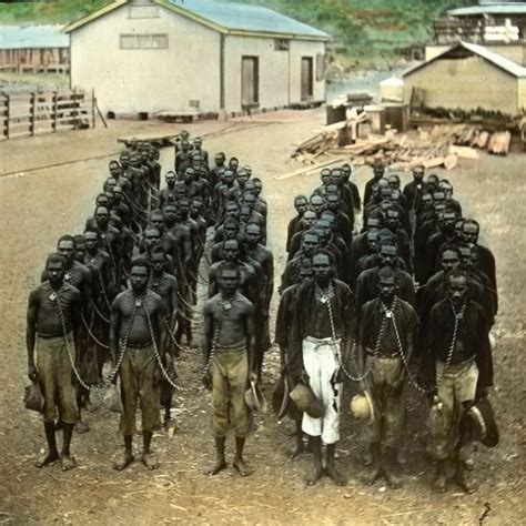 Rottnest Island: Black prison - ABC listen | Australia history, Aboriginal history, World ...