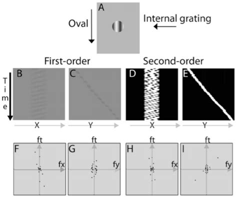 Motion analysis of the curveball illusion. A) A single frame of the... | Download Scientific Diagram