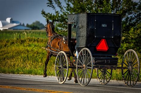 Amish Buggy - Free photo on Pixabay