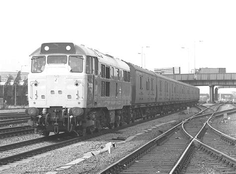 Class 31 Diesel Photo Gallery - 31301 photo area