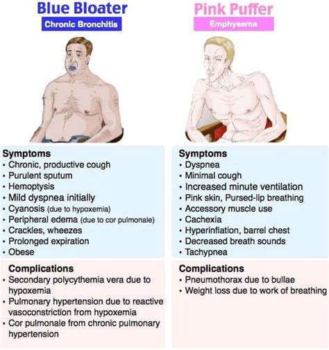 Chronic bronchitis vs emphysema - MEDizzy