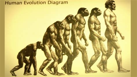 What is evolutionary biology - parkingret