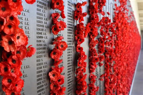 Anzac Day 2024 Qld - Tobi Aeriela