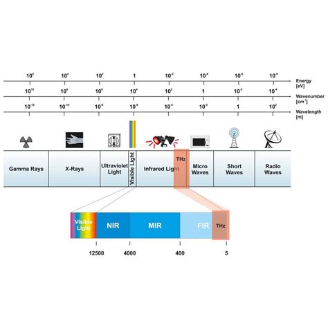 Guía sobre espectroscopía FT-IR | Bruker