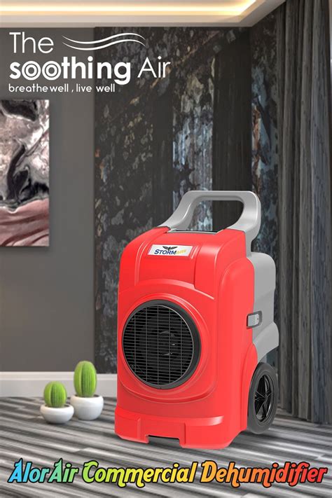 best dehumidifier with pump 2020 - Antione Brothers