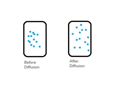 Diffusion in Solids, Liquids, and Gases - GeeksforGeeks