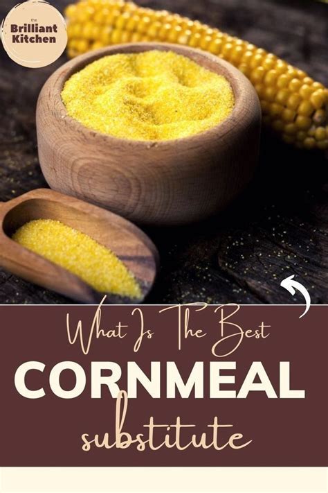 What Is The Best Cornmeal Substitute | The Brilliant Kitchen | Easy ...