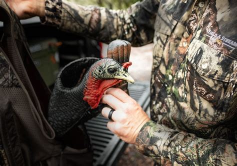 Turkey Hunting Gear List » Outdoors International