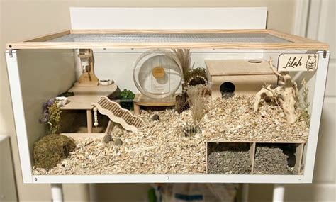 IKEA LINNMON DIY hamster cage ideas | Hamster cages, Hamster habitat ...