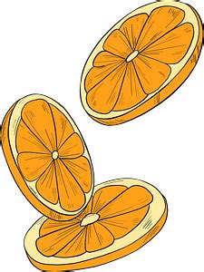 Oranges clipart. Free download transparent .PNG | Creazilla