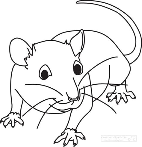 Mouse Clipart-furry rodent little rat outline printable clip art