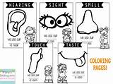5 Senses Coloring Pages Sketch Page sketch template