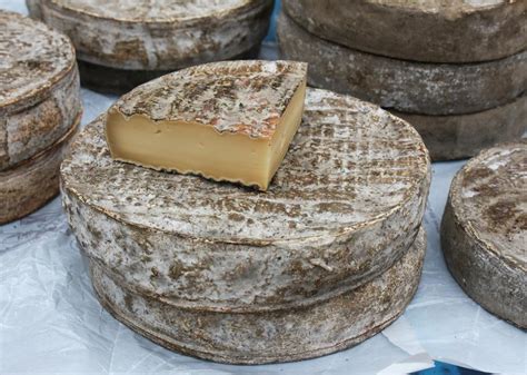 10 of the smelliest cheeses in the world (and why they stink)