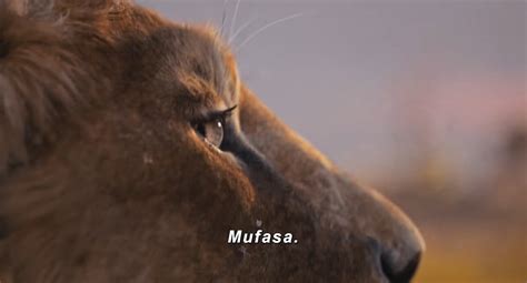 'Mufasa: The Lion King' Trailer Shows Journey Of Simba's Father ...