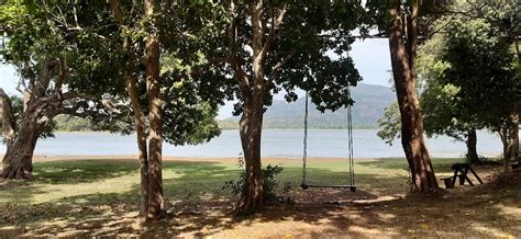 AMAYA LAKE DAMBULLA - Updated 2022 Prices & Resort Reviews (Sri Lanka)