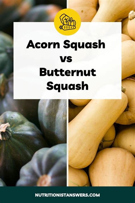 Acorn Squash Varieties: From Green to Gold | Nutritionist Answers