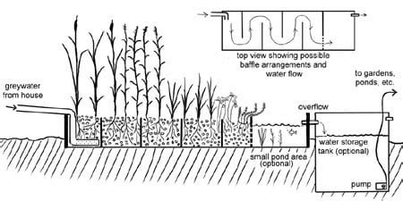 Building a Biological DIY Greywater System (With No Reedbeds) - Milkwood: permaculture courses ...