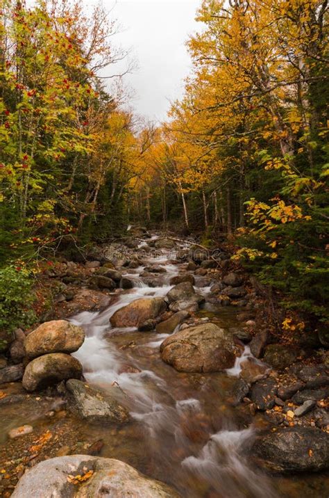 White Mountains Fall Foliage Stock Photo - Image of running, autumn: 160796140