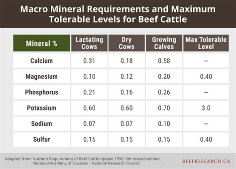 Nutrition in Beef Cattle - Beef Cattle Research Council