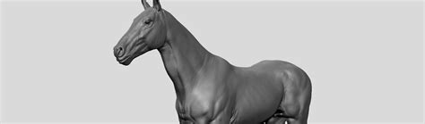 Realistic Horse - Sculpt - FlippedNormals