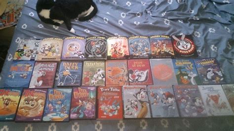 A Glimpse into my DVD collection! | Looney Tunes Amino