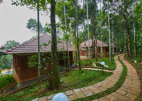 Luxury Resort in Wayanad with a Swimming Pool - Raindrops Resort