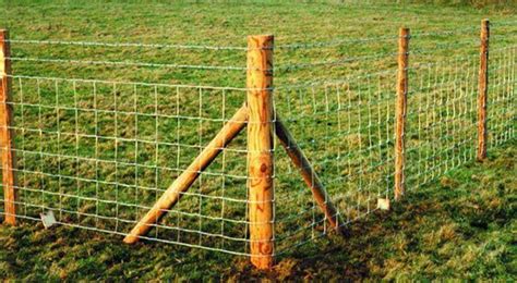 Our Guide to a Sheep-Proof Fence | agridirect.ie