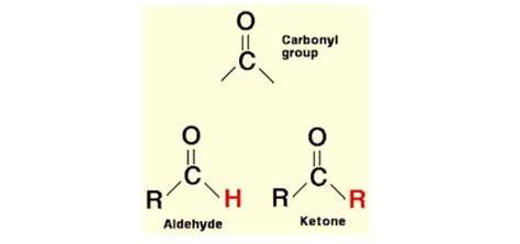 Carbonyl Group: Definition, Function, Examples I NotesBard