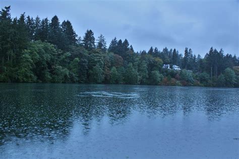 Autumn rainfall in Olalla Bay, Washington [OC][3456x2304] | Rainfall, Landscape photographers ...