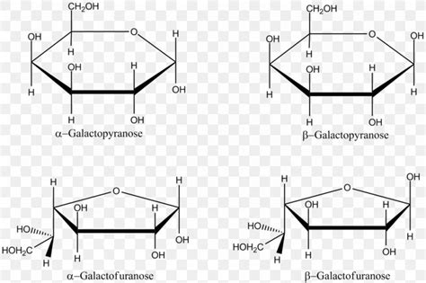 Galactose Haworth Projection Fischer Projection Fructose Furanose, PNG, 1024x681px, Galactose ...