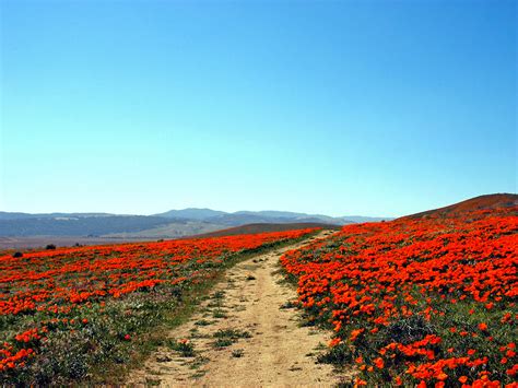 Antelope Valley California