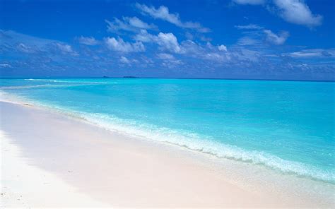 🔥 [60+] Maldives Beach Wallpapers | WallpaperSafari