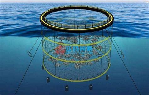 What Is Deep Water Cage Culture Technology - News - QinHo Group(HK) Co.,Ltd