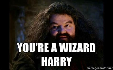 Hagrid Youre A Wizard Harry