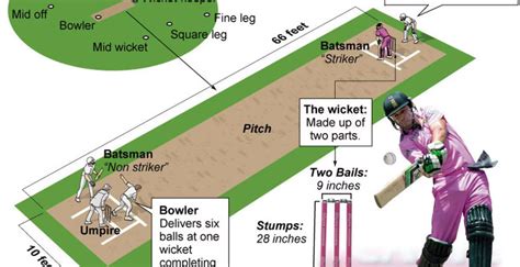 What is cricket, basic rules - SMP Cricket Academy