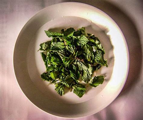 Instant Recipes with Mint Leaves #mintleaves #mintleavesrecipes | Delicious healthy recipes ...