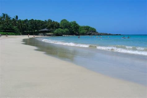 Kahaluu Beach Park Snorkeling Secrets! Guide to Big Island Snorkeling!