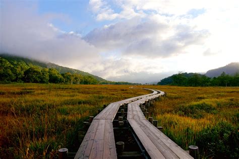 The Moors of Oze, a Japanese National Park