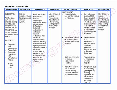 30 Examples Of Nursing Care Plans | Example Document Template | Nursing care plan, Nursing care ...