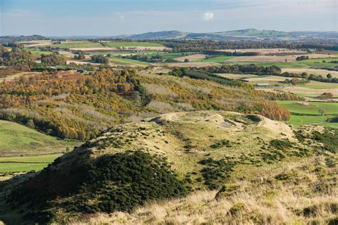 Hill of Alyth, Alyth (Walkhighlands)