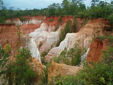 Georgia must stop obscuring Providence Canyon’s history - Scienceline