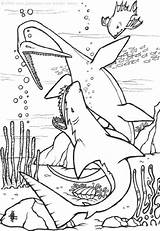 Water Dinosaurs Coloring Pages sketch template