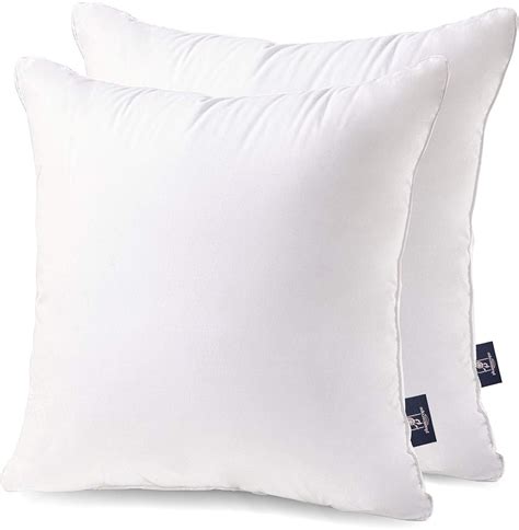 Amazon.com: Phantoscope 20 x 20 Pillow Inserts - Throw Pillow Inserts ...